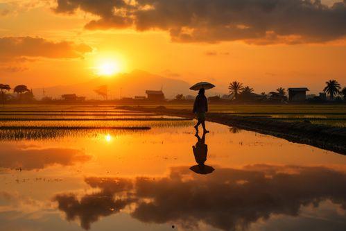 朝气蓬勃图片,捕捉青春活力的瞬间