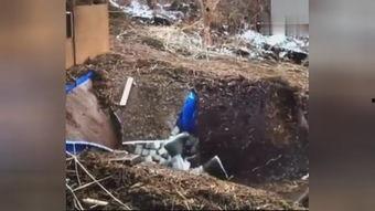 日本模仿搞笑综艺,笑料百出，趣味横生