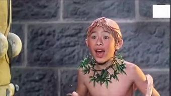 林小楼资料,探寻传奇人生轨迹的璀璨篇章